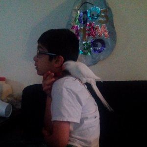 Meet your Posher, Saadia